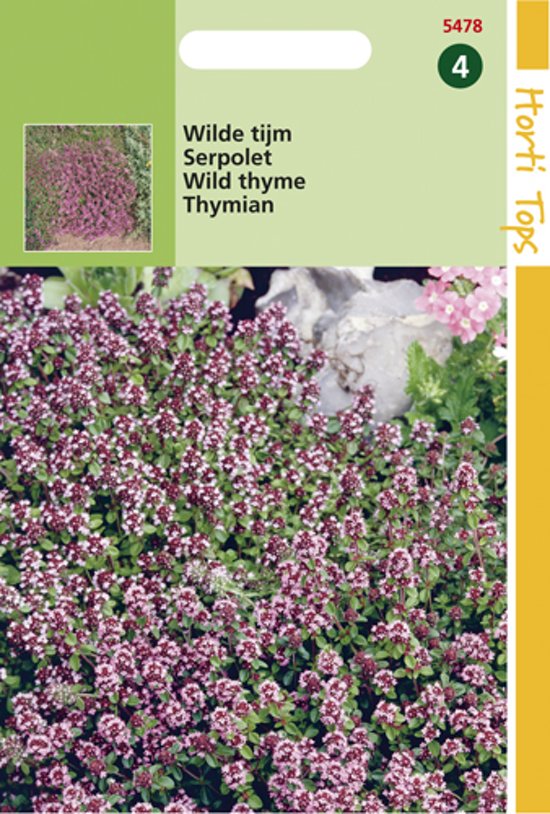 Wilde tijm (Thymus serpyllum) 900 zaden